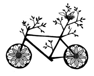 bike_florida